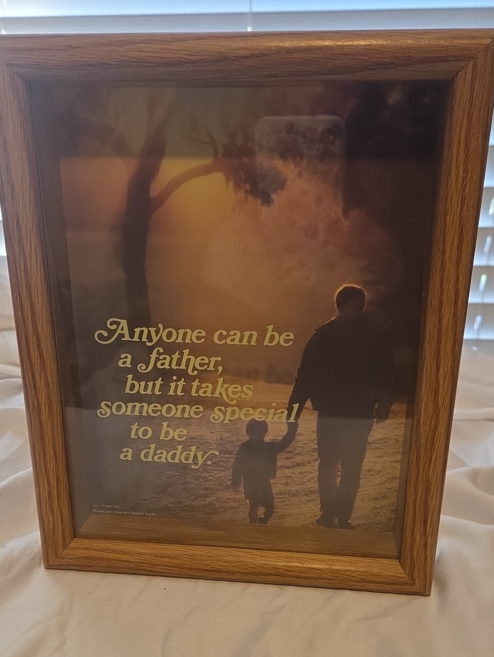 Framed 'Anyone Can Be a Father' Wall Art - Brown Frame